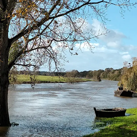 Photo d'une barque et d'un arbre dans la rivière la Vilaine